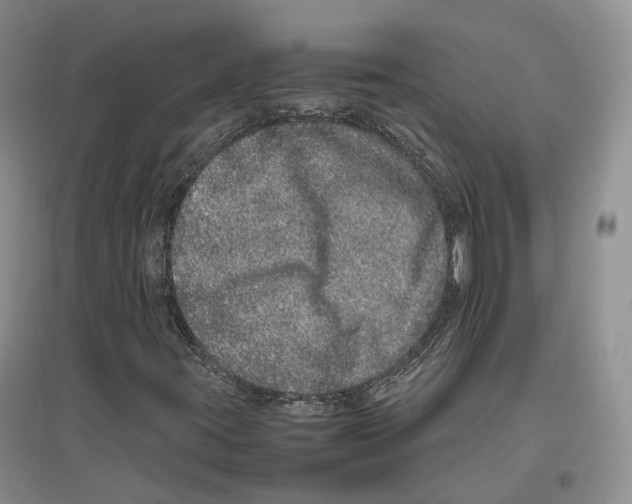 X0000096421395200802211113