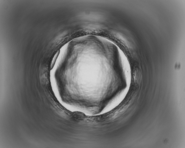 X0000096421396200802211113