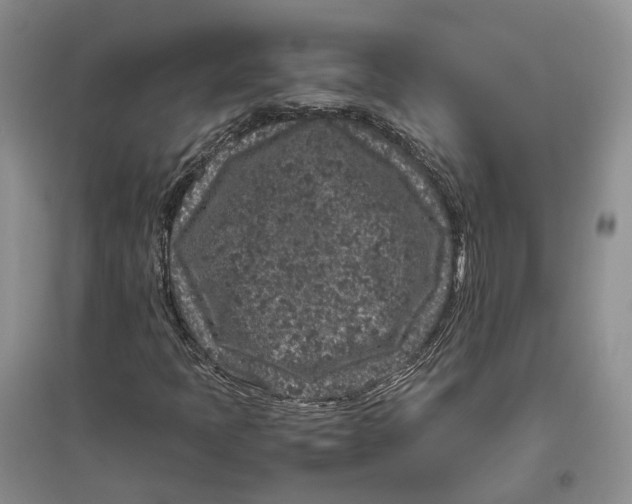 X0000096421397200802211113