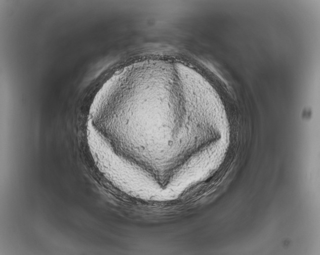 X0000096421399200802211113