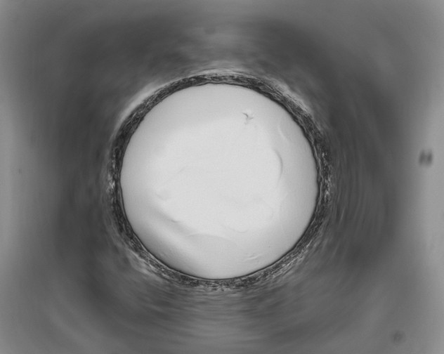 X0000096421400200802211113