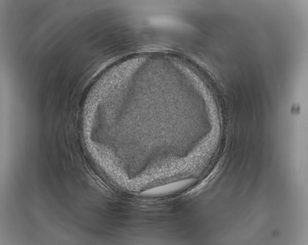 X0000096421401200802211113