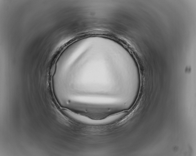 X0000096421402200802211113