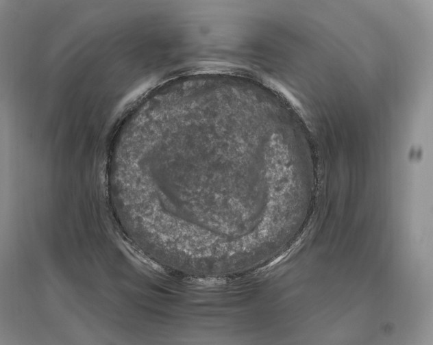 X0000096421403200802211113