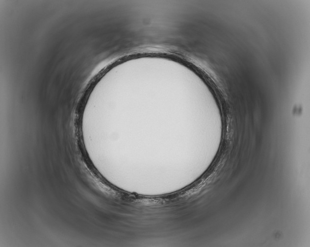 X0000096421404200802211113