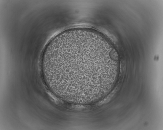 X0000096421405200802211113