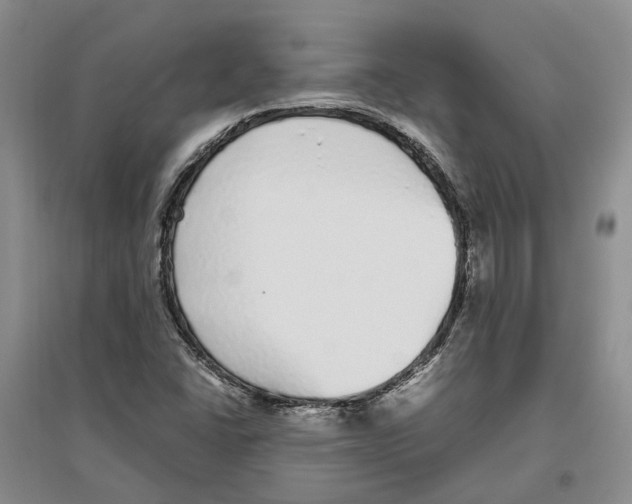 X0000096421406200802211113
