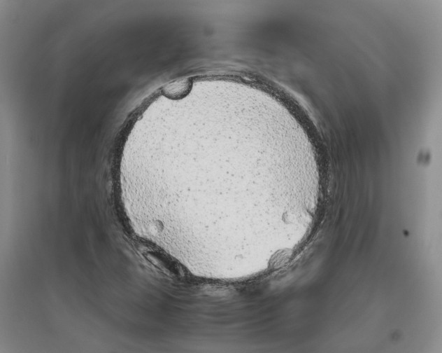 X0000096421407200802211113