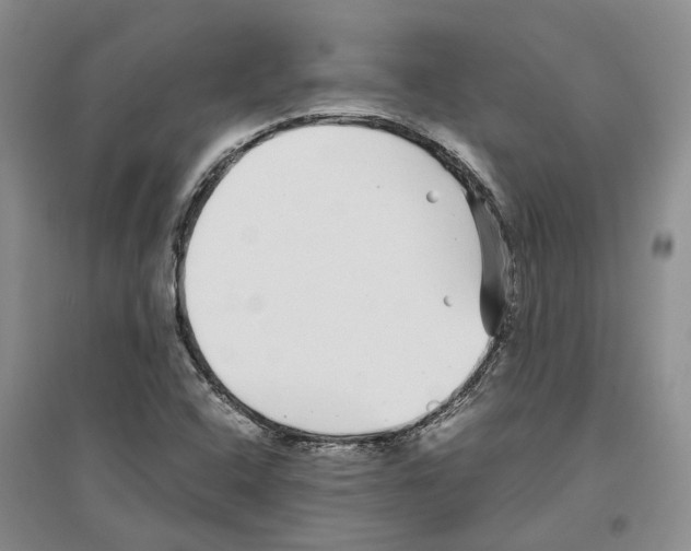 X0000096421408200802211113