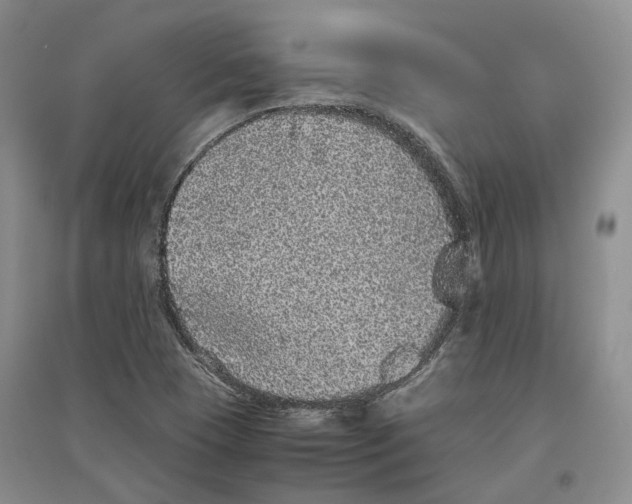 X0000096421409200802211113