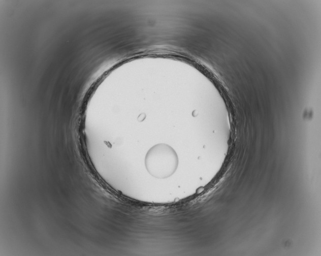 X0000096421410200802211113