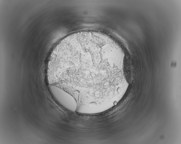 X0000096421411200802211113