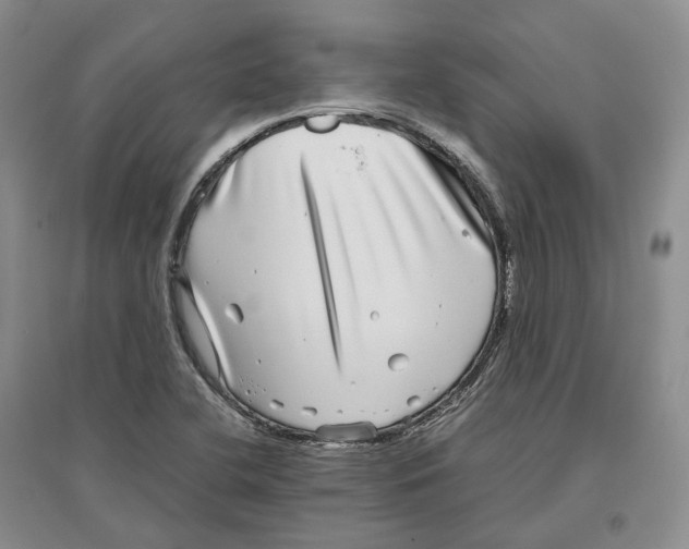 X0000096421412200802211113