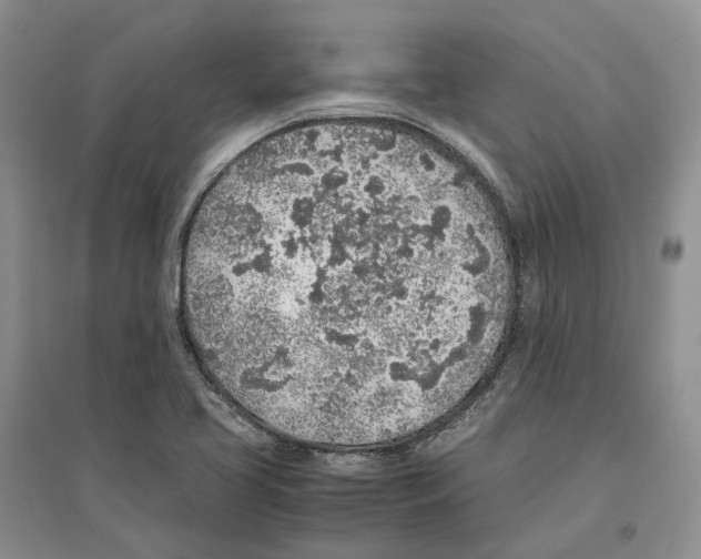 X0000096421413200802211113