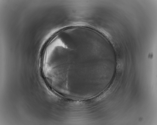 X0000096421414200802211113