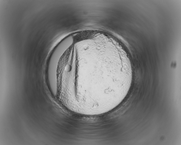 X0000096421415200802211113