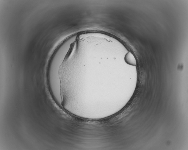 X0000096421416200802211113