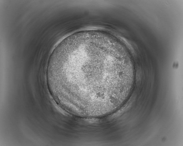 X0000096421417200802211113