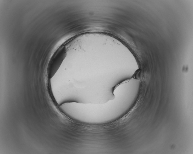 X0000096421418200802211113