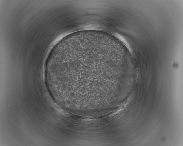 X0000096421419200802211113