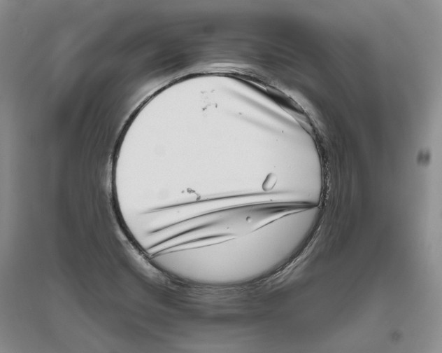 X0000096421420200802211113