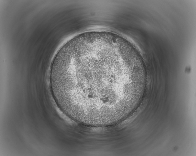 X0000096421421200802211113