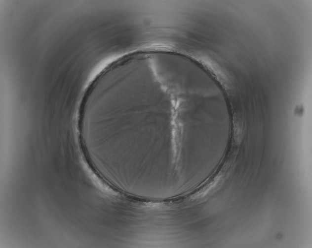 X0000096421422200802211113