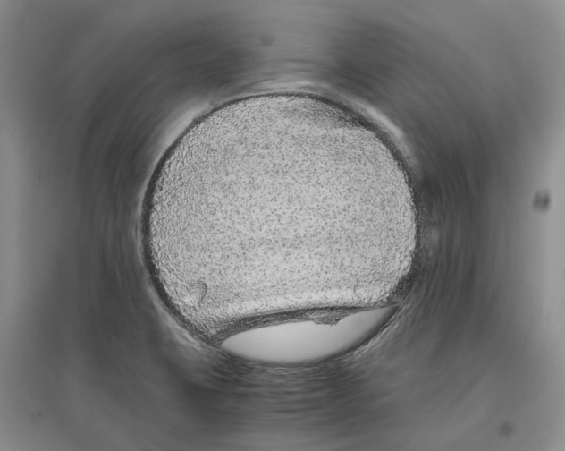 X0000096421423200802211113