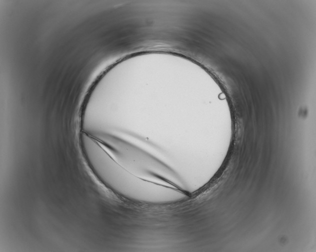 X0000096421424200802211113