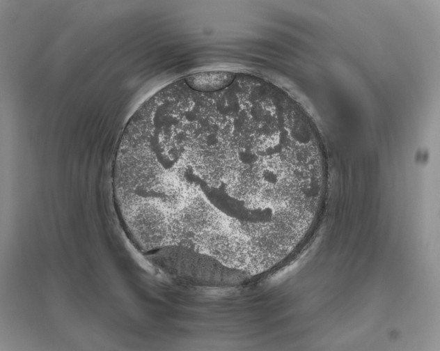 X0000096421425200802211113