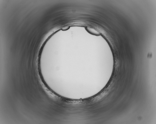 X0000096421426200802211113