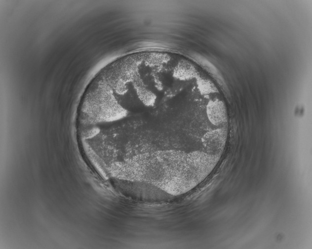 X0000096421427200802211113