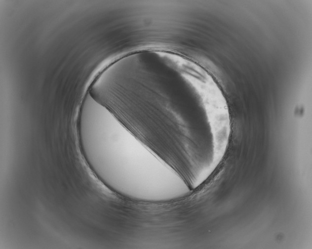 X0000096421428200802211113