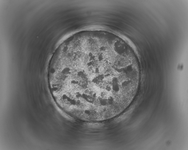 X0000096421429200802211113