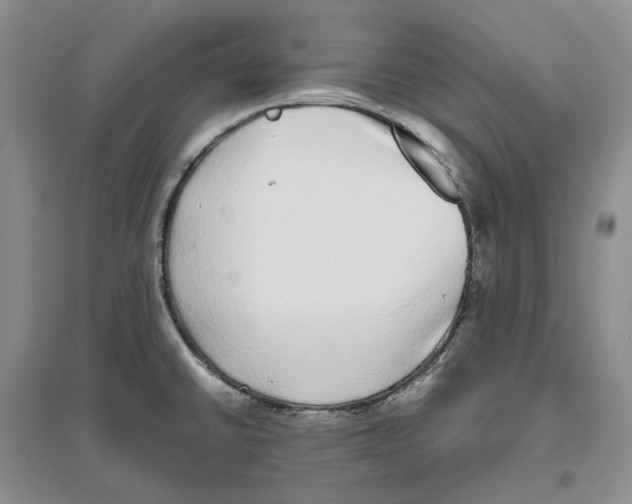 X0000096421430200802211113