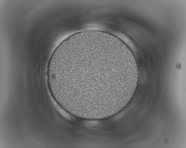 X0000096421431200802211113