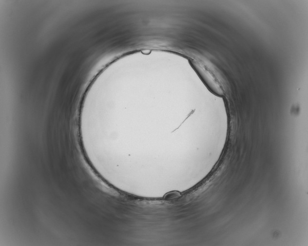 X0000096421432200802211113