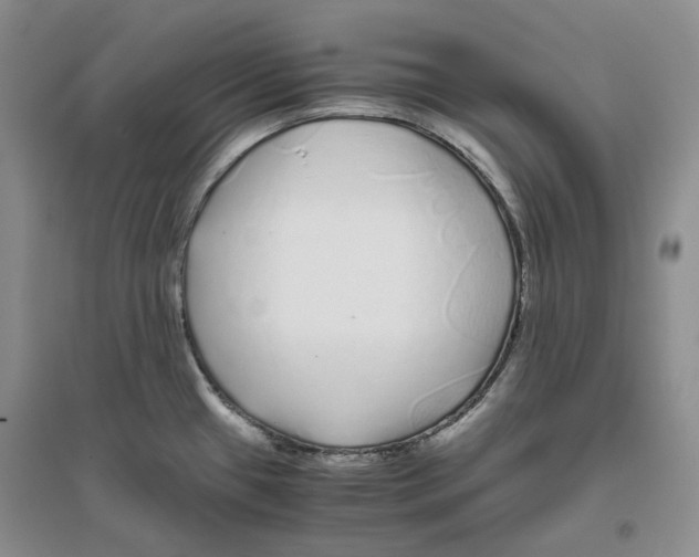 X0000096421433200802211113