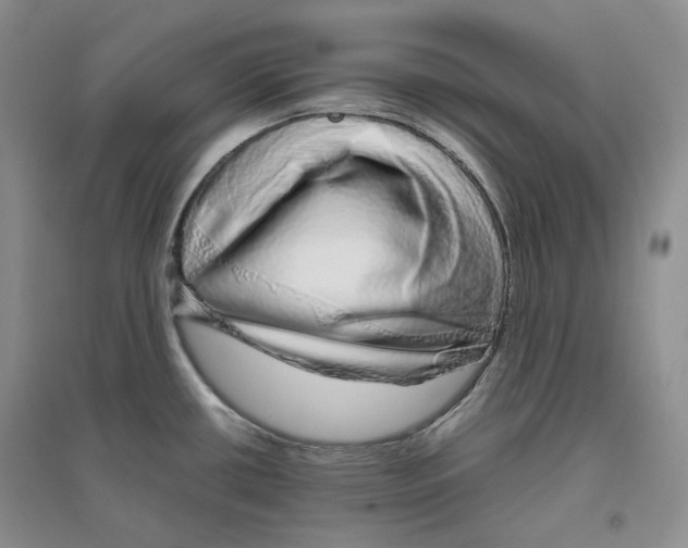 X0000096421434200802211114