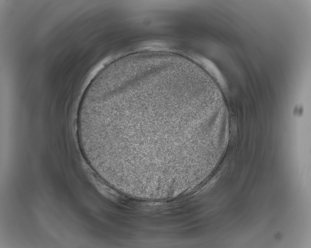X0000096421435200802211114