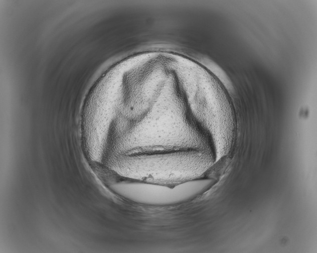 X0000096421436200802211114