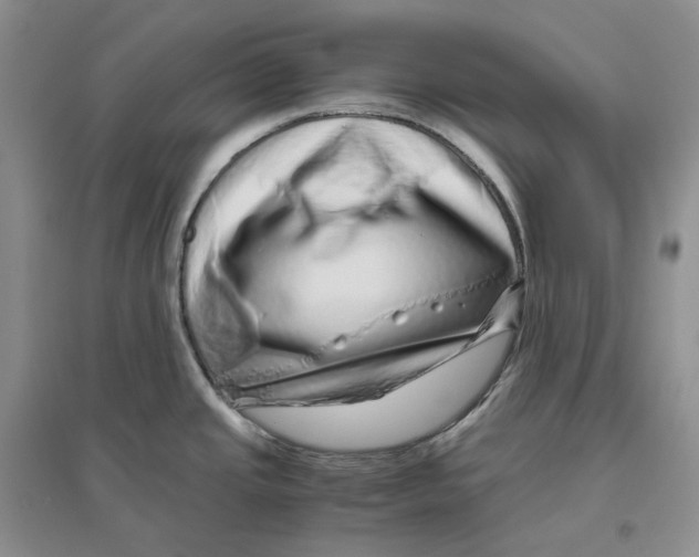 X0000096421437200802211114