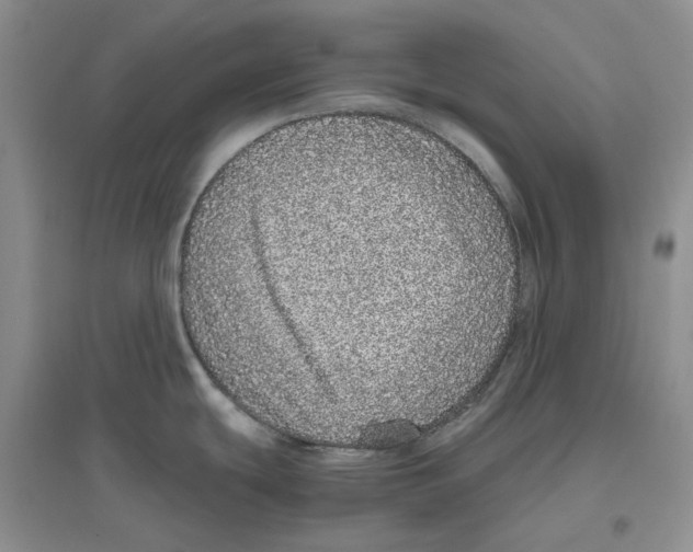 X0000096421439200802211114