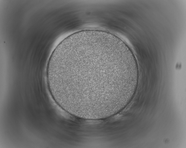 X0000096421440200802211114