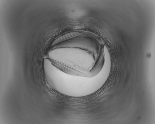 X0000096421441200802211113