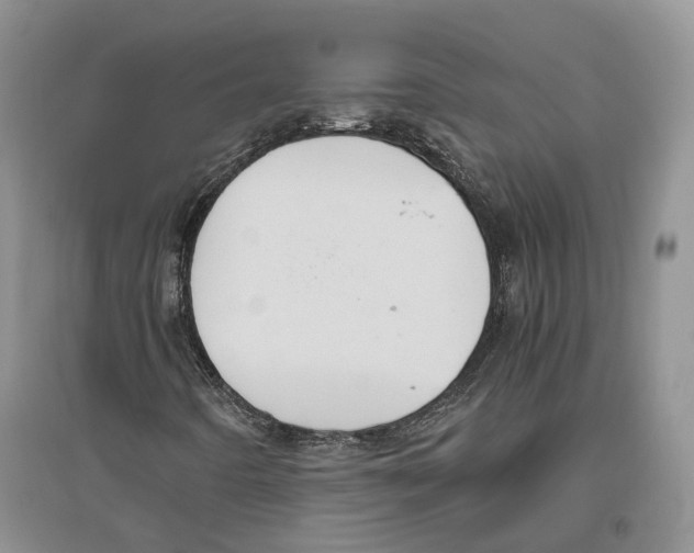 X0000096421442200802211113
