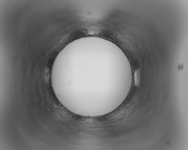 X0000096421443200802211113