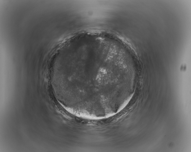 X0000096421445200802211113