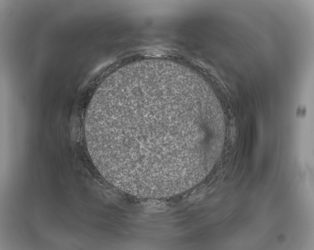 X0000096421446200802211113