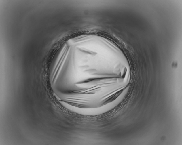 X0000096421447200802211113